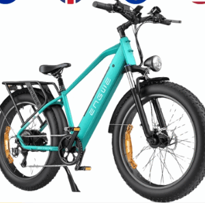 ENGWE E26 500W