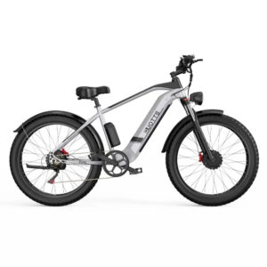 F26 Electric Bike 750W * 2 Powerful Motor 48V 20Ah Battery