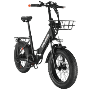 Electric Fat Tire Hydraulic Bike 48V13Ah Battery 250W