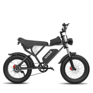 Ridstar Q20 2000W 52V40AH Waterproof Fat Tire