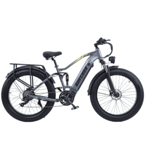 RX50/80 1000W Electric 48V18AH Lithium Battery