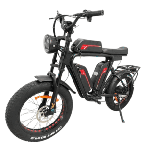 electric bicycle 1000W motor,48V20AH battery, 20 inch fat tires