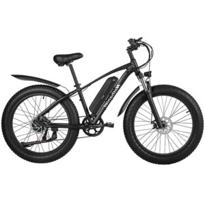 Electric Bike 1000W 17Ah Lithium Battery