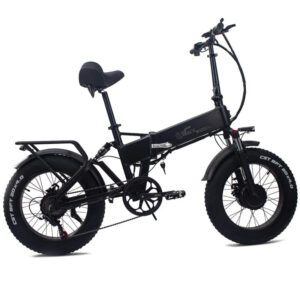 CMACE WHEEL RX20MAX E-bike 750W*2 Dual motor Electric