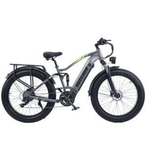 NEW RX20/70 Electric Bicycle 1000W 48V18AH Lithium Battery
