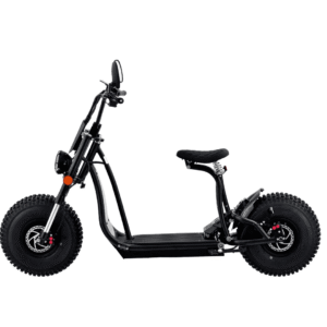 NEW 20 inch 48V 1000W 25AH mountain city adult electric bicycle folding electric fat tire dirt bike electric bicycle ebike