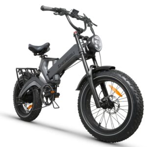 E-bike 48v 1000w 25Ah kit electric bike, 20*4.0 inch