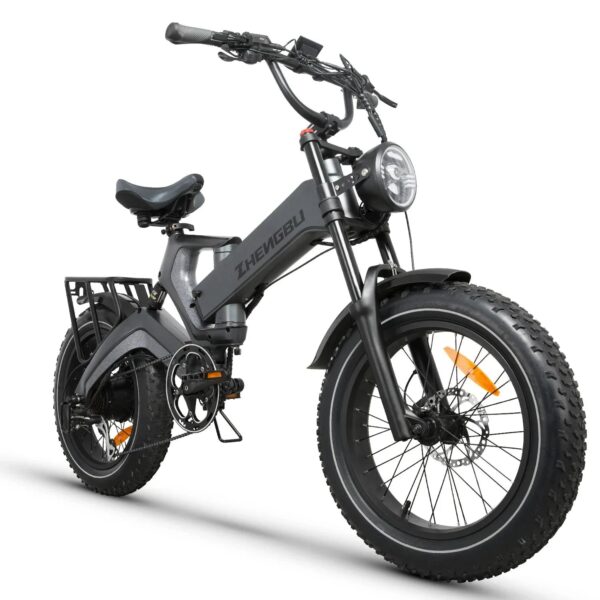 E-bike 48v 1000w 25Ah kit electric bike, 20*4.0 inch