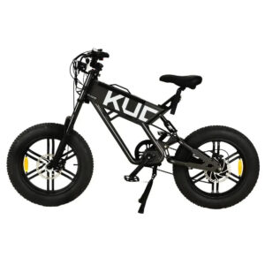 New T01 Ebike 20 inch 1000W Electric Bike For Adults Electric Bicycle