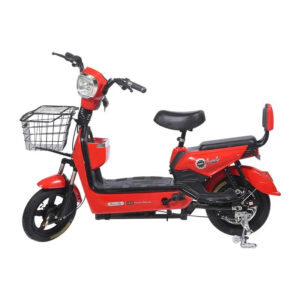 Two Person Electric Bike For Adults Men And Women Work Play Buy