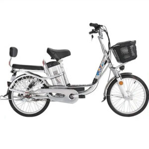 Adult Electric Bicycle 18 Inch 350W 48V 80KM Two Wheel