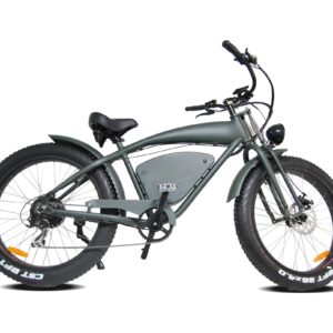 1000W 26 Inch Electric Bicycle 48V 20AH Electric Bike Fat Tire
