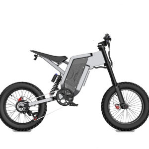 Adults Electric Bike 2000W 48V35AH 55km/h Samsung Battery Off Road Tyre Mountain