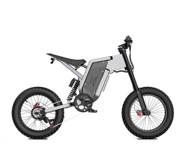 Adults Electric Bike 2000W 48V35AH 55km/h Samsung Battery Off Road Tyre Mountain
