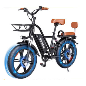 Ridstar FM-001 Electric Bicycle 1000W 48V 15AH Road City Ebike