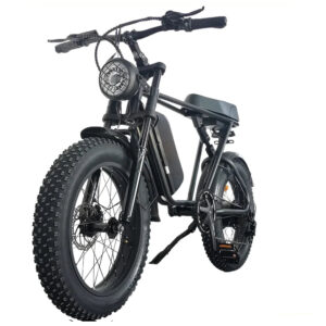 C91 1000W Electric Bike 48V 17.5Ah 20*4.0 Fat Tire 50km/h