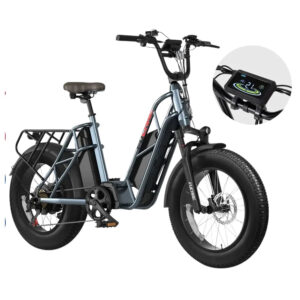 FUCARE Electric Bike Mileage 190KM Electric 750W 48V 30AH Snow Bike